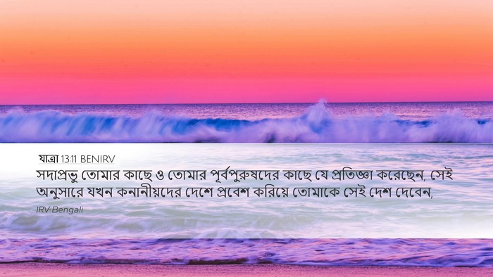 যাত্ৰা 13:11 BENIRV Desktop Wallpaper - সদাপ্রভু তোমার - Desktop Bible Verse Wallpaper