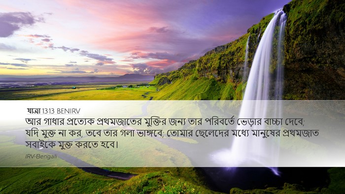 যাত্ৰা 13:13 BENIRV Bible Verse Image