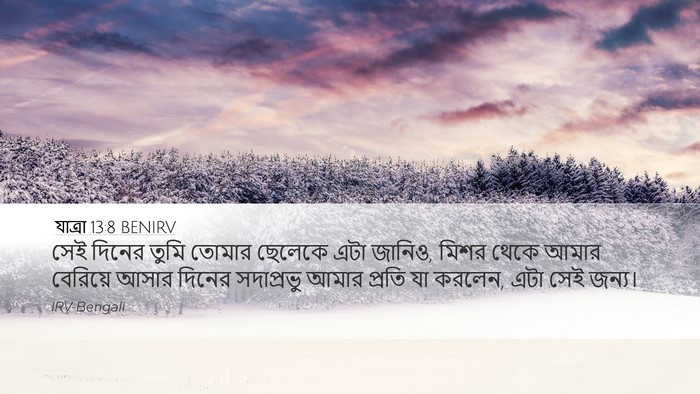 যাত্ৰা 13:8 BENIRV Bible Verse Image