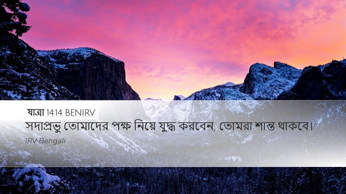 যাত্ৰা 14:14 BENIRV Bible Verse Image