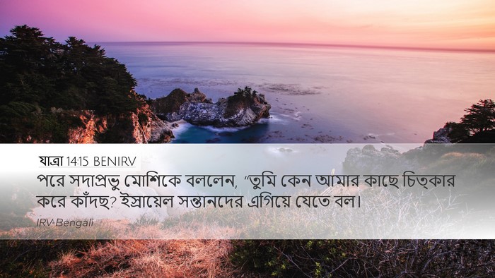 যাত্ৰা 14:15 BENIRV Bible Verse Image