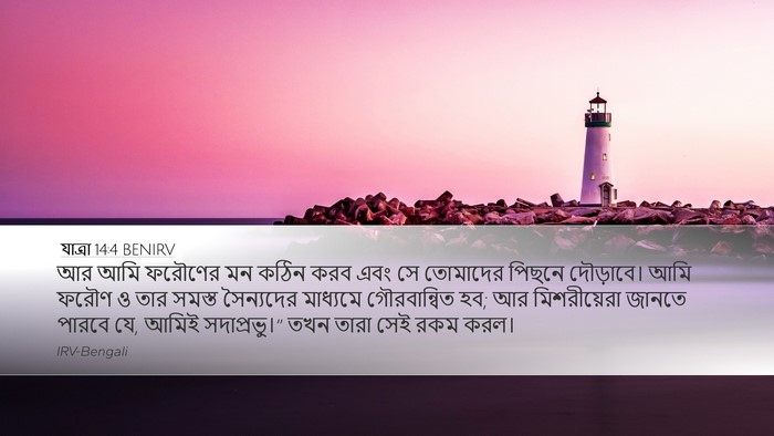 যাত্ৰা 14:4 BENIRV Bible Verse Image