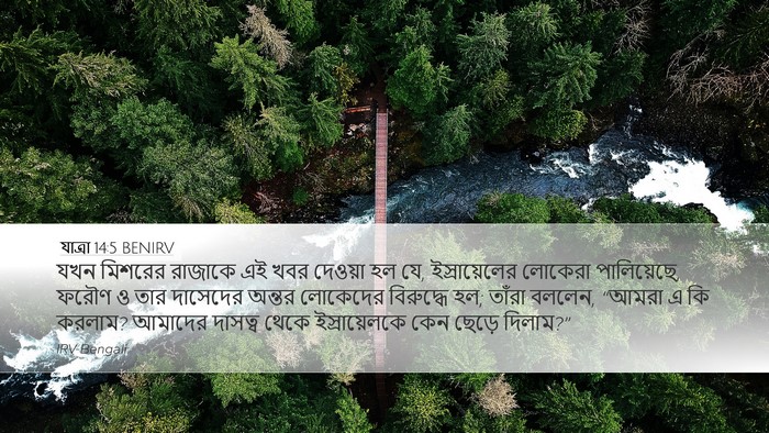 যাত্ৰা 14:5 BENIRV Bible Verse Image