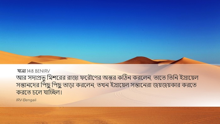 যাত্ৰা 14:8 BENIRV Bible Verse Image