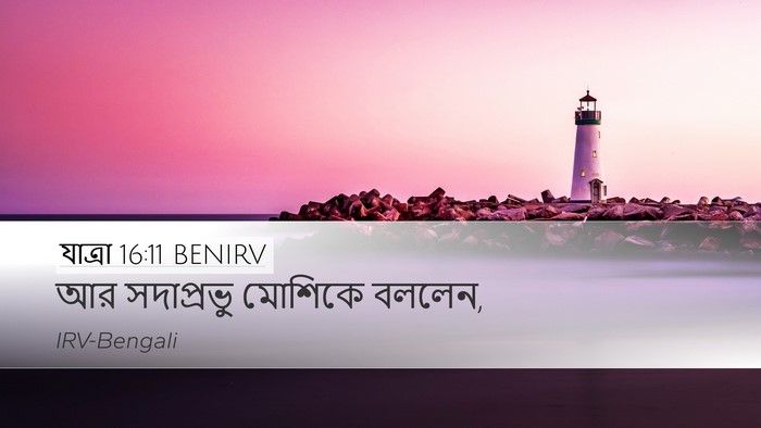 যাত্ৰা 16:11 BENIRV Desktop Wallpaper - আর সদাপ্রভু - Desktop Bible Verse Wallpaper