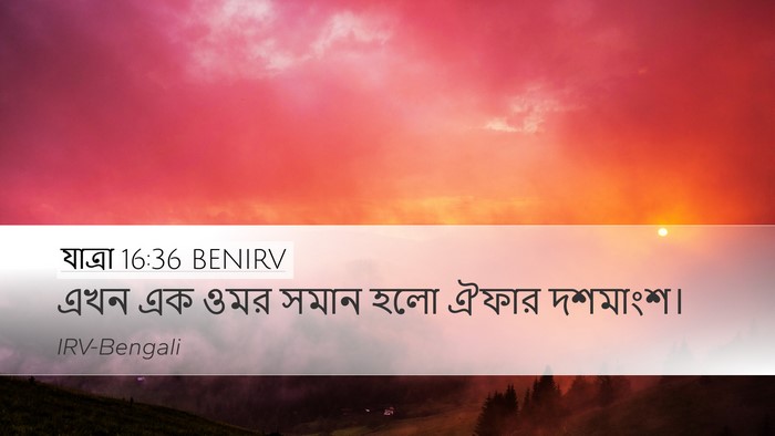 যাত্ৰা 16:36 BENIRV Bible Verse Image