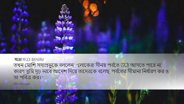 যাত্ৰা 19:23 BENIRV Bible Verse Image