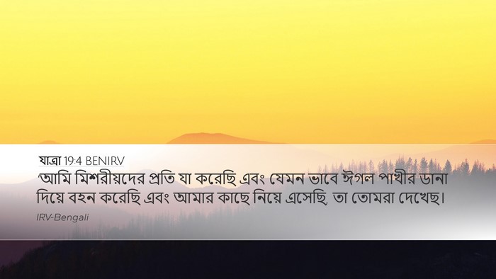 যাত্ৰা 19:4 BENIRV Bible Verse Image