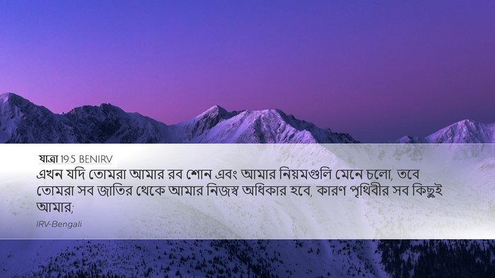 যাত্ৰা 19:5 BENIRV Bible Verse Image