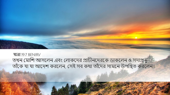 যাত্ৰা 19:7 BENIRV Bible Verse Image