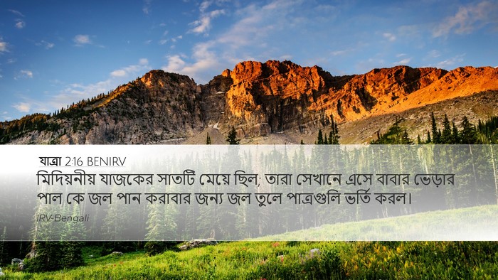 যাত্ৰা 2:16 BENIRV Bible Verse Image