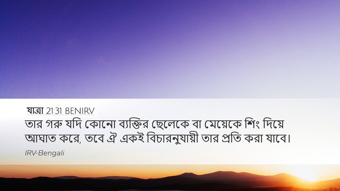 যাত্ৰা 21:31 BENIRV Desktop Wallpaper - তার গরু যদি কোনো - Desktop Bible Verse Wallpaper
