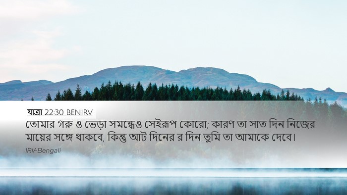 যাত্ৰা 22:30 BENIRV Bible Verse Image