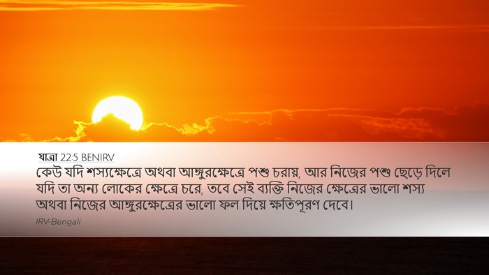 যাত্ৰা 22:5 BENIRV Bible Verse Image