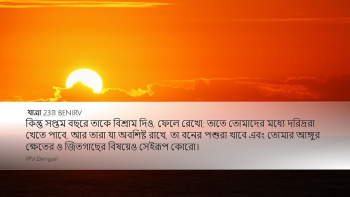যাত্ৰা 23:11 BENIRV Bible Verse Image