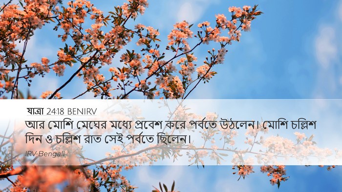 যাত্ৰা 24:18 BENIRV Bible Verse Image