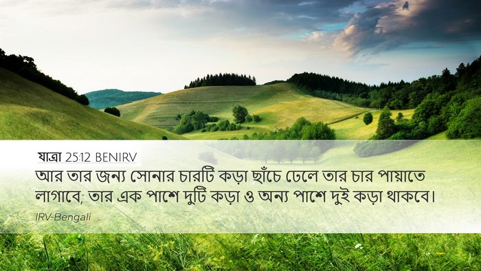 যাত্ৰা 25:12 BENIRV Bible Verse Image