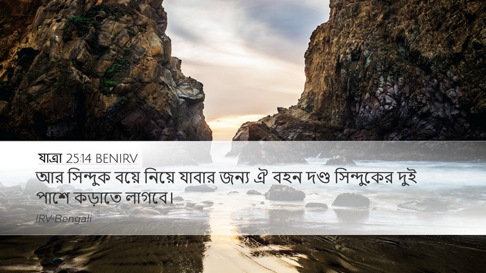 যাত্ৰা 25:14 BENIRV Bible Verse Image