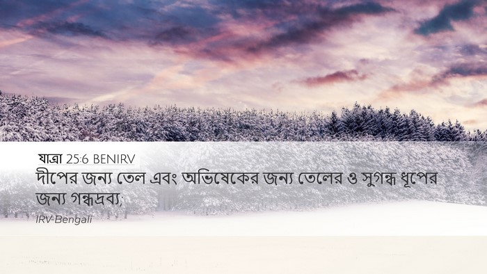 যাত্ৰা 25:6 BENIRV Bible Verse Image