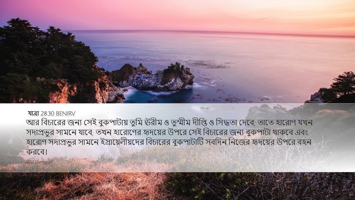 যাত্ৰা 28:30 BENIRV Bible Verse Image
