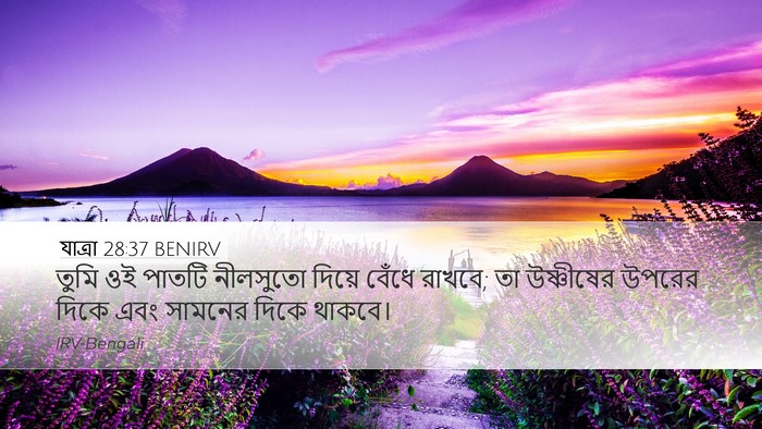 যাত্ৰা 28:37 BENIRV Bible Verse Image
