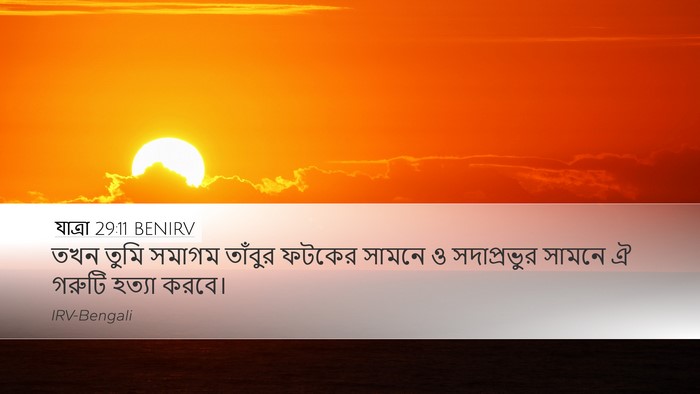 যাত্ৰা 29:11 BENIRV Bible Verse Image