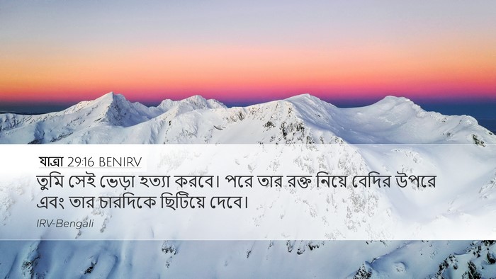যাত্ৰা 29:16 BENIRV Bible Verse Image