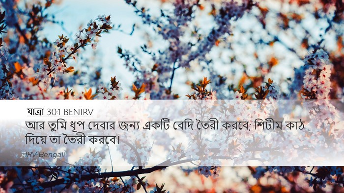 যাত্ৰা 30:1 BENIRV Bible Verse Image