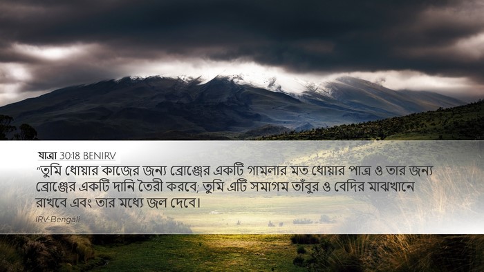 যাত্ৰা 30:18 BENIRV Bible Verse Image