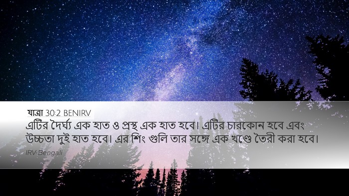 যাত্ৰা 30:2 BENIRV Bible Verse Image