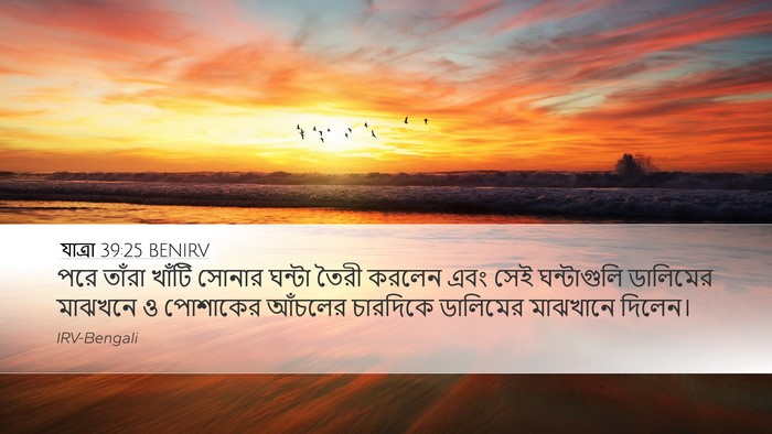 যাত্ৰা 39:25 BENIRV Desktop Wallpaper - পরে তাঁরা খাঁটি - Desktop Bible Verse Wallpaper