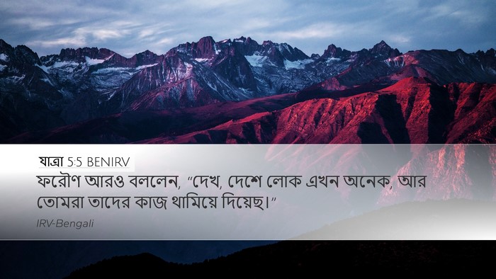 যাত্ৰা 5:5 BENIRV Bible Verse Image