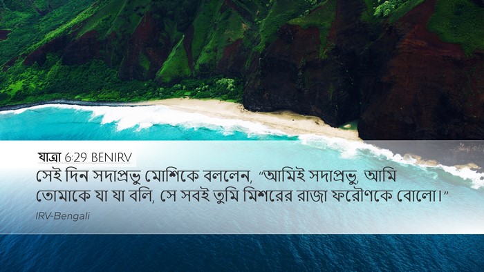 যাত্ৰা 6:29 BENIRV Bible Verse Image