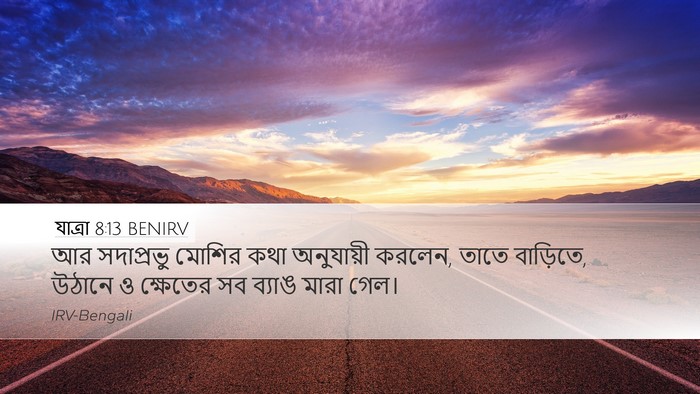 যাত্ৰা 8:13 BENIRV Desktop Wallpaper - আর সদাপ্রভু মোশির - Desktop Bible Verse Wallpaper