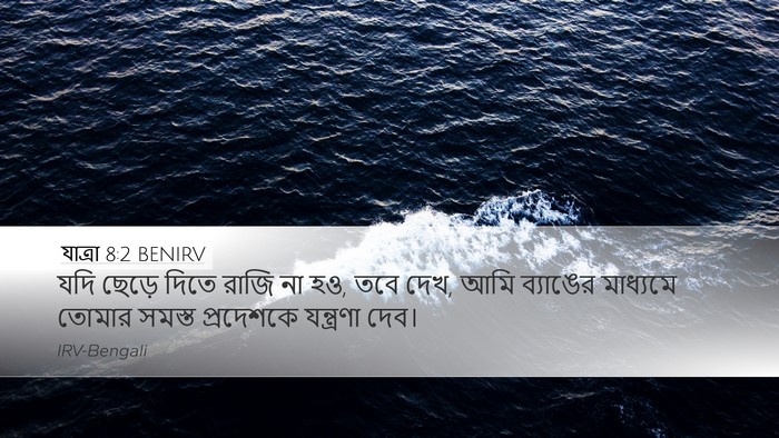 যাত্ৰা 8:2 BENIRV Bible Verse Image