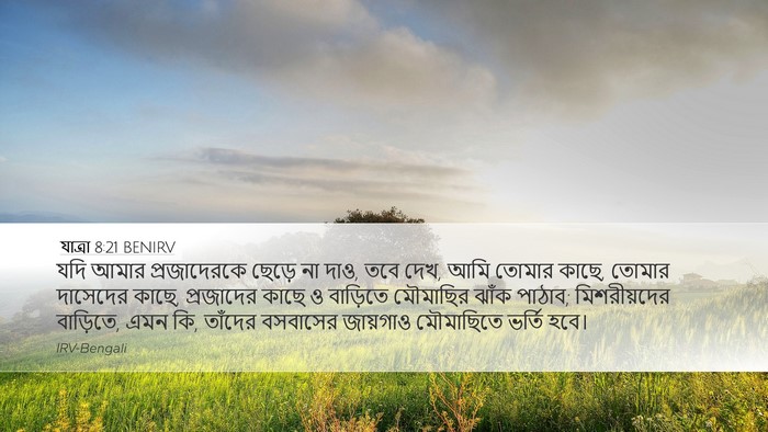 যাত্ৰা 8:21 BENIRV Bible Verse Image