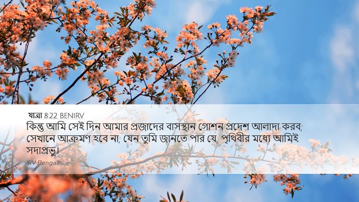 যাত্ৰা 8:22 BENIRV Bible Verse Image