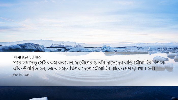 যাত্ৰা 8:24 BENIRV Bible Verse Image