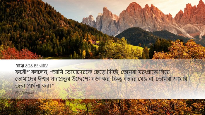 যাত্ৰা 8:28 BENIRV Bible Verse Image