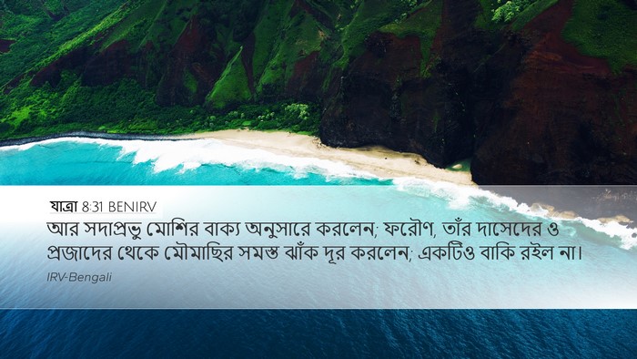 যাত্ৰা 8:31 BENIRV Desktop Wallpaper - আর সদাপ্রভু মোশির - Desktop Bible Verse Wallpaper