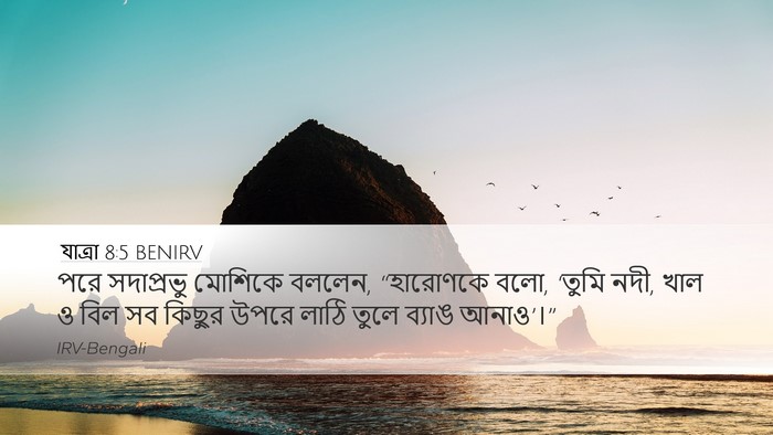 যাত্ৰা 8:5 BENIRV Bible Verse Image