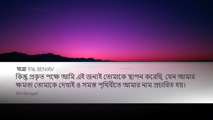 যাত্ৰা 9:16 BENIRV Bible Verse Image