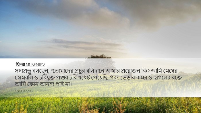 যিচয়া 1:11 BENIRV Bible Verse Image
