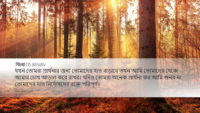 যিচয়া 1:15 BENIRV Bible Verse Image