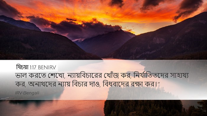 যিচয়া 1:17 BENIRV Bible Verse Image