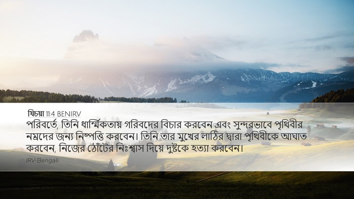 যিচয়া 11:4 BENIRV Bible Verse Image