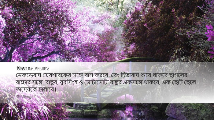 যিচয়া 11:6 BENIRV Bible Verse Image