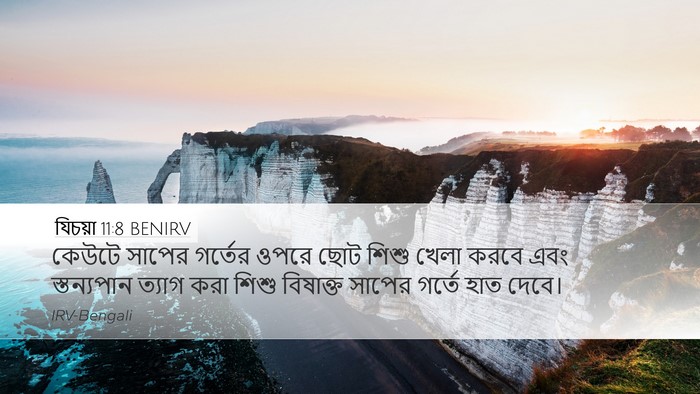 যিচয়া 11:8 BENIRV Bible Verse Image
