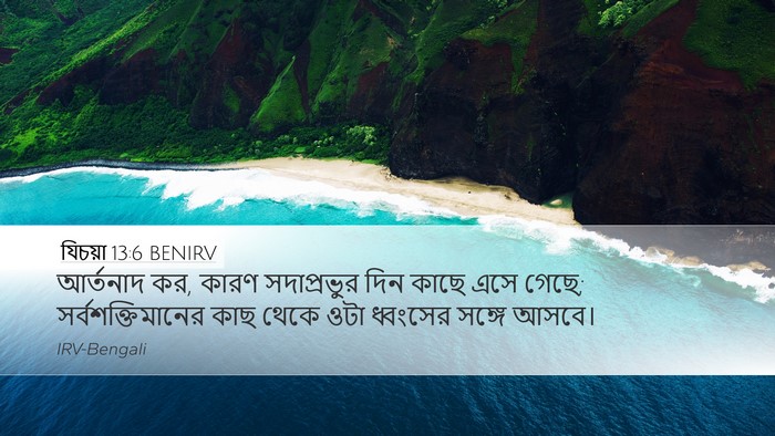যিচয়া 13:6 BENIRV Bible Verse Image