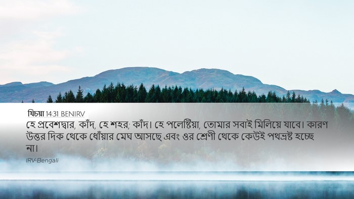 যিচয়া 14:31 BENIRV Bible Verse Image